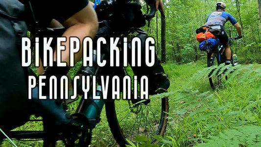 PANTS Stats Submission